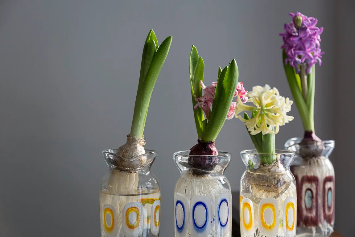 Vase｜ムラーノガラス（ベネチアングラス）花瓶・花器 – chisa
