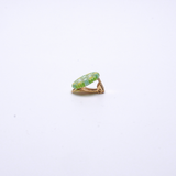 ムリーネ ミルフィオリ ピンブローチ ヴェネチアンガラス イヤリング