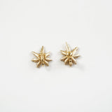Earring「Star」