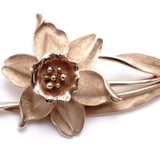 Brooch