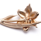Brooch