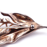 Brooch