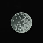 ムラーノガラス(ベネチアングラス)/小皿