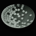 ムラーノガラス(ベネチアングラス)/小皿