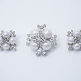 Brooch&Earring set