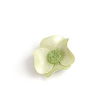 Brooch「Anemone」(Large)