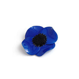 Brooch「Anemone」(Large)