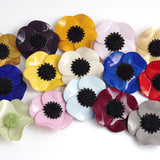 Brooch「Anemone」(Large)