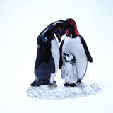 Penguin family on iceberg