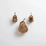 Brooch&Earring Set Lucite“Pear”