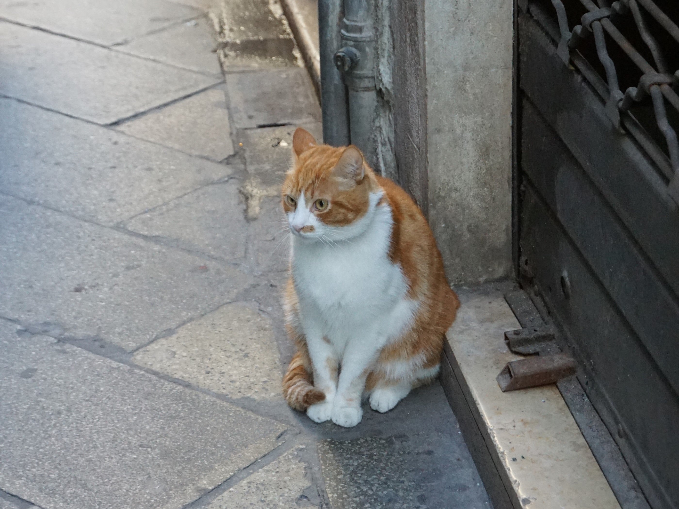 店舗営業についてのお知らせ