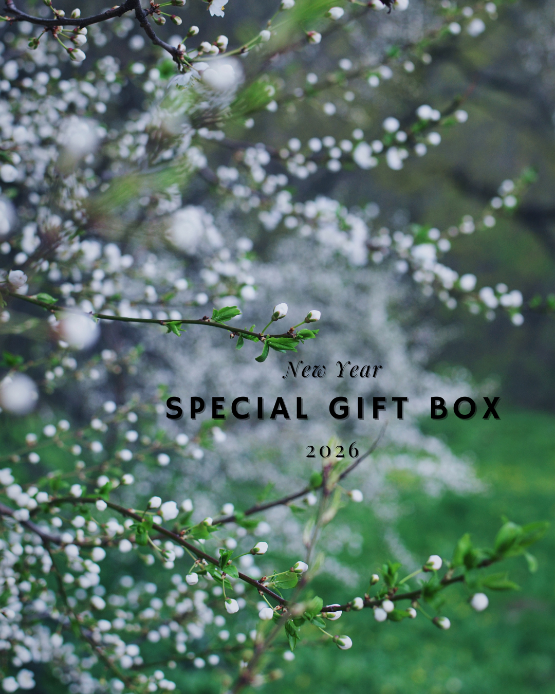 2026 New Year Special Price Set