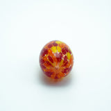 ハリネズミのお気に入り