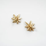 Earring「Star」