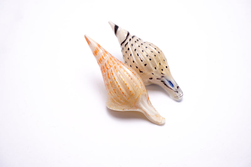 「Shell」[Blu]