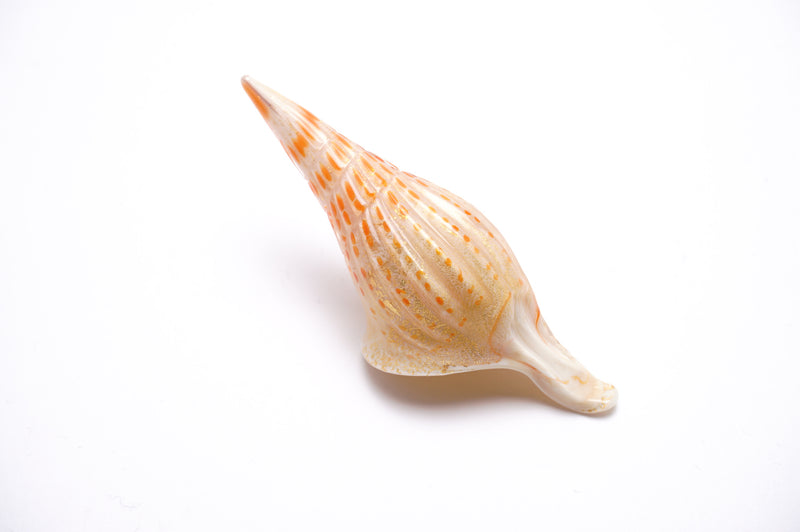 「Shell」[ivory]