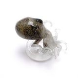「Octopus」