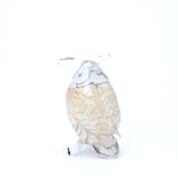 Owl［Medium/Bianco］