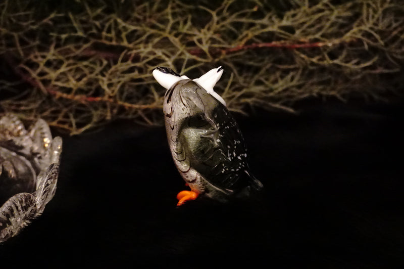 Owl［Medium/Gray］