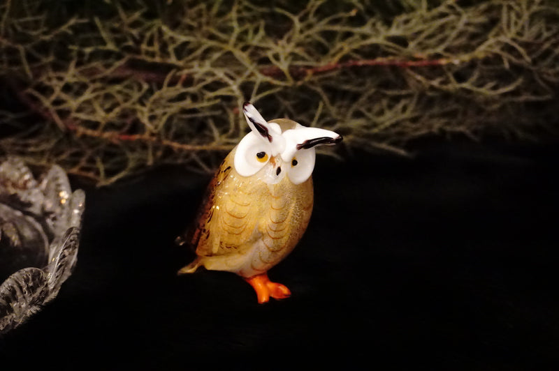 Owl［Medium/Amber］